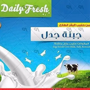 North Company For Dairy Products شركة ألشمال للألبان و لأجبان – photo from listing