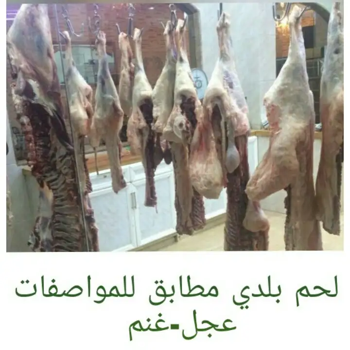 Moufid Moubayed Restaurant ملحمة ومطعم مفيد المبيض – photo from listing