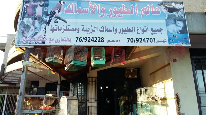 World Of Birds & Fish عالم الطيور و الأسماك – photo from listing
